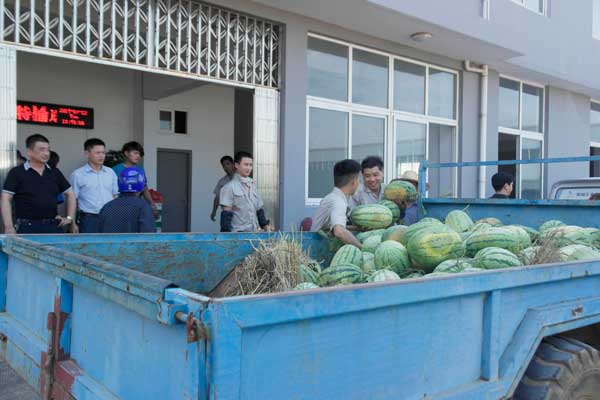 怎樣根據(jù)不同需要選擇合適的物料提升機(jī)型號(hào)？