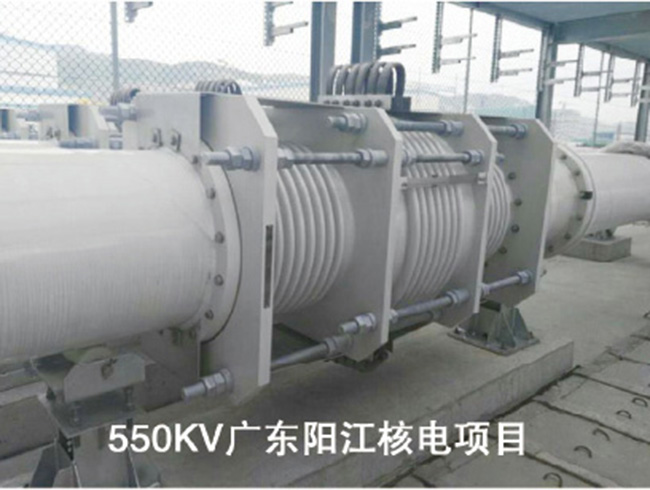 550KV 廣東陽(yáng)江核電項目